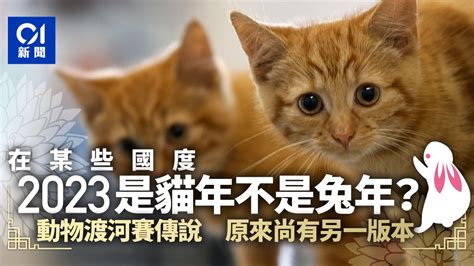 貓 生肖|新年 ・兔年｜2023原來還是貓年？十二生肖各國大不 